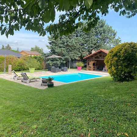 Gite Des Chabaudieres Chaneins Extérieur photo