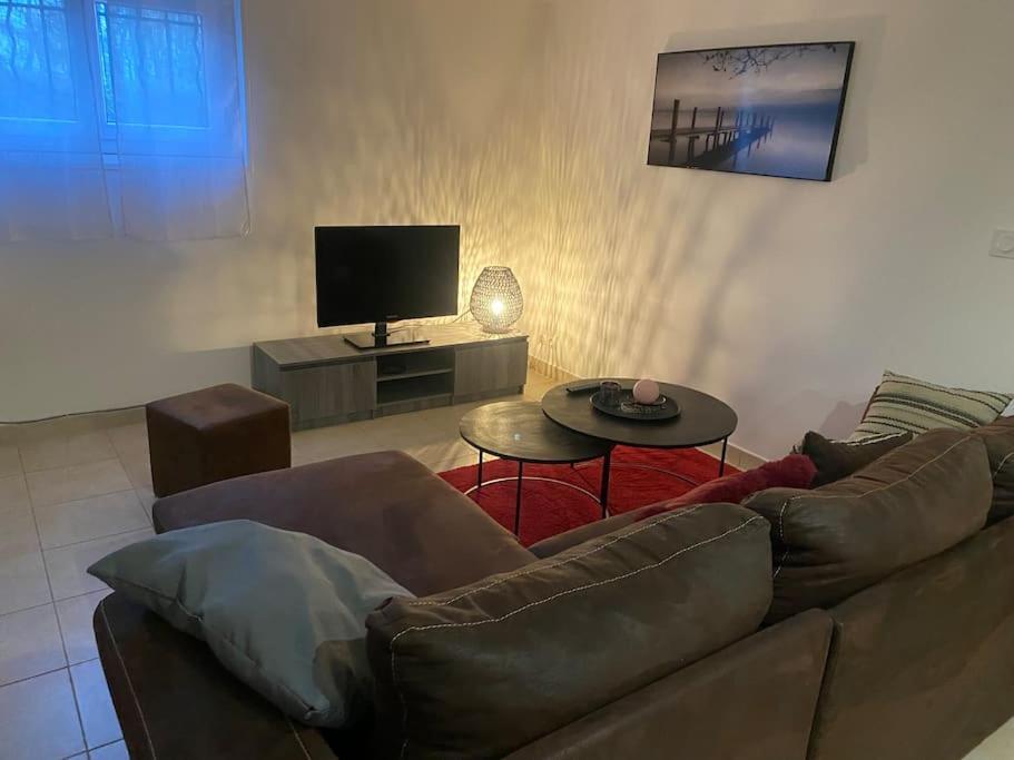 Gite Des Chabaudieres Chaneins Extérieur photo