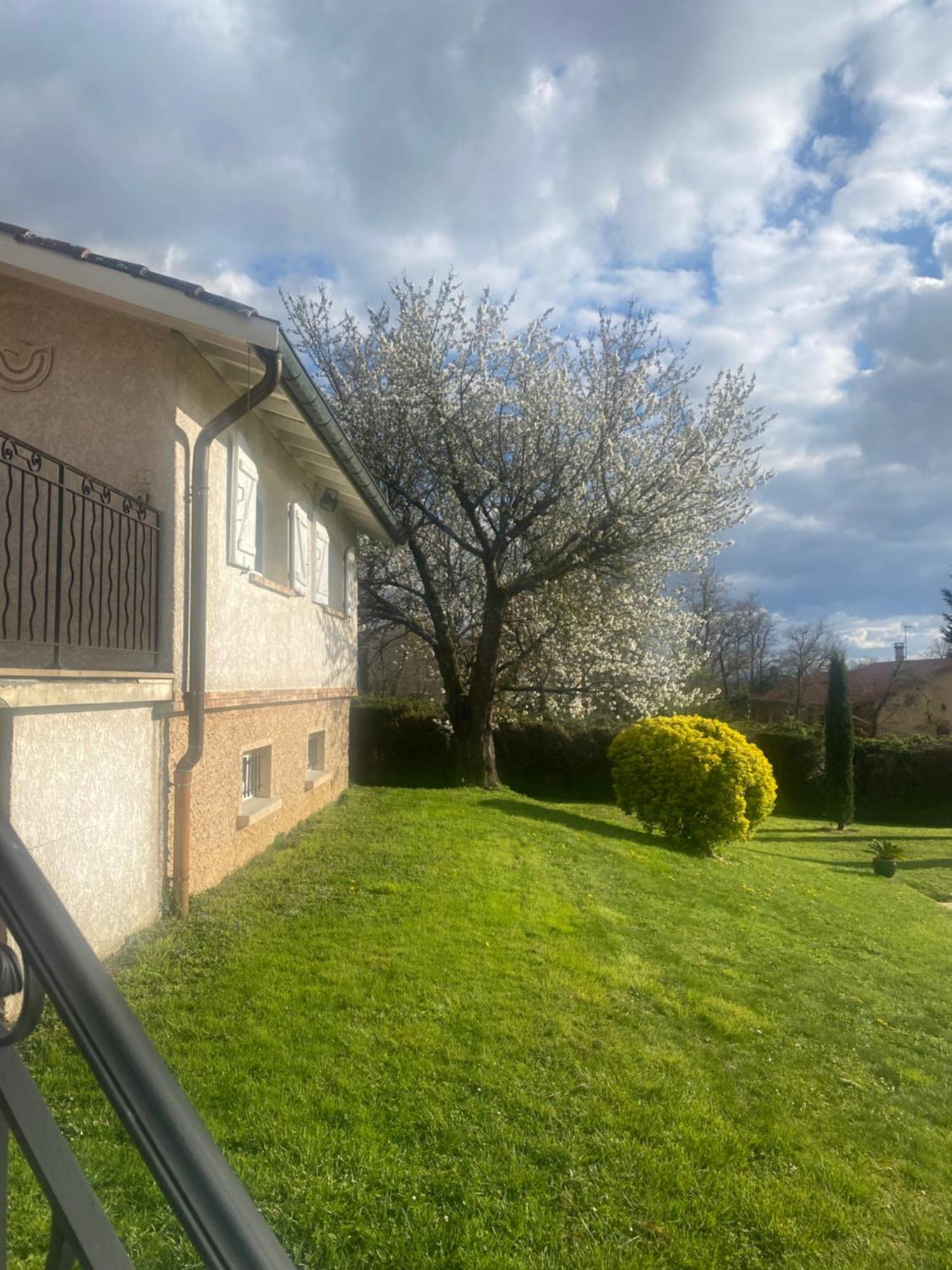 Gite Des Chabaudieres Chaneins Extérieur photo